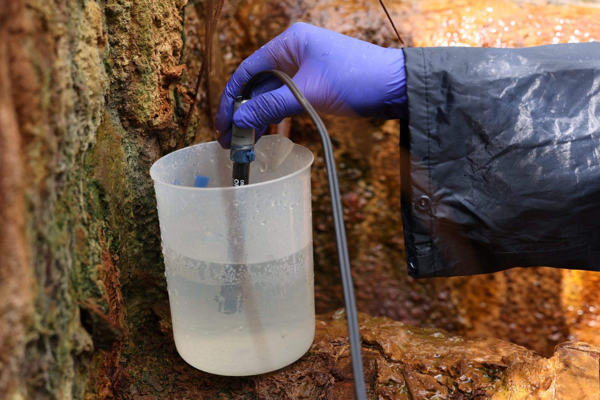 redox measurement